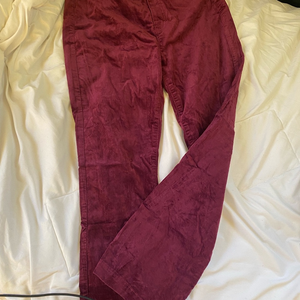 LOFT Burgundy Pants